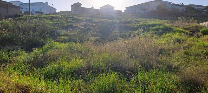 0 Bedroom Property for Sale in Jongensfontein Western Cape